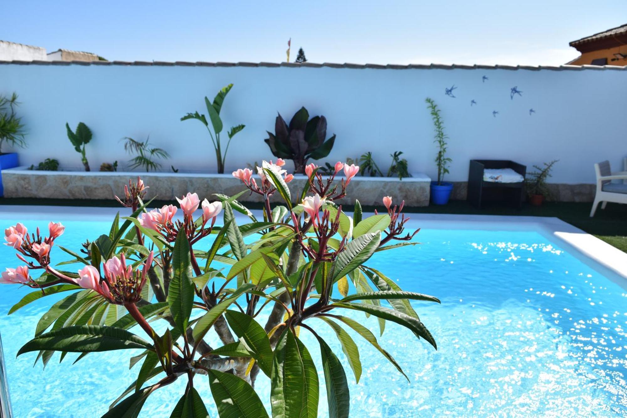Apartment Tochos